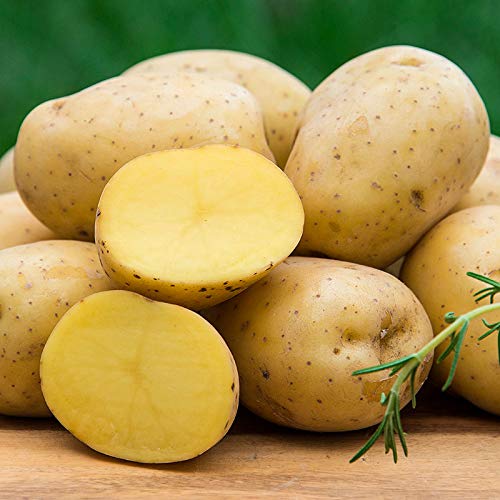 farmorganic