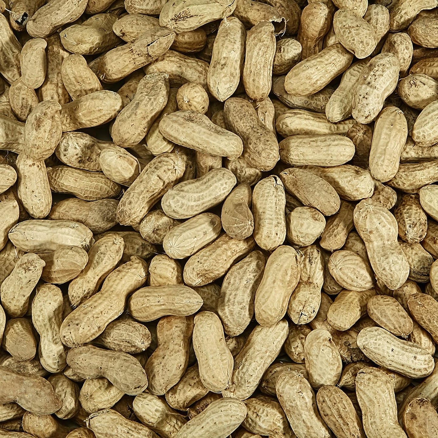 farmorganic